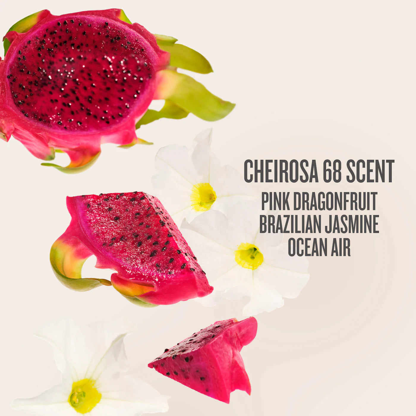 Beija Flor™ Jet Set - 68